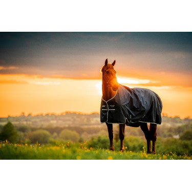 Couverture Horseware Amigo Ripstop 900D Turnout 100g Marine witney Bleu marine Couverture Horseware Amigo Ripstop 900D Turnout 100g Marine witney Bleu marine