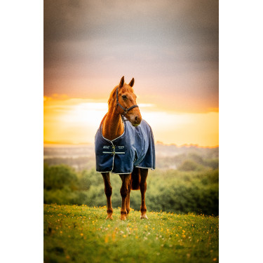 Couverture Horseware Amigo Ripstop 900D Turnout 200g Marine witney Bleu marine