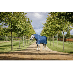 Couverture Horseware Ionic Therapy Turnout 100g Bleu imperial / argent / marine