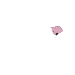 Tapis de selle LeMieux Toy Pony Blossom Rose