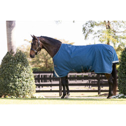 Couverture Horseware Rhino Turnout 100g 1000D Marine / gris / aqua / gris Bleu marine Couverture Horseware Rhino Turnout 100g 1000D Marine / gris / aqua / gris Bleu marine