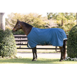 Couverture Horseware Rhino Turnout 100g 1000D Marine / gris / aqua / gris Bleu marine Couverture Horseware Rhino Turnout 100g 1000D Marine / gris / aqua / gris Bleu marine