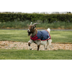 Couverture pour chèvre Horseware 0g Marine / rouge Bleu Couverture pour chèvre Horseware 0g Marine / rouge Bleu