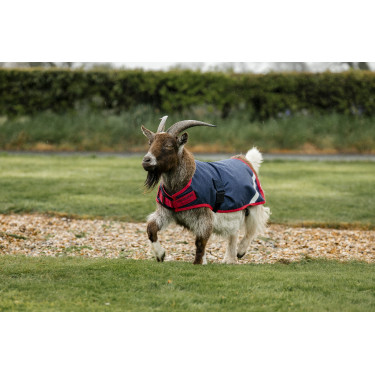 Couverture pour chèvre Horseware 0g Couverture pour chèvre Horseware 0g