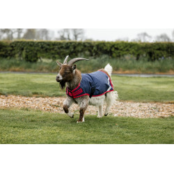 Couverture pour chèvre Horseware 0g Marine / rouge Bleu Couverture pour chèvre Horseware 0g Marine / rouge Bleu