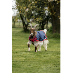 Couverture pour chèvre Horseware 0g Marine / rouge Bleu Couverture pour chèvre Horseware 0g Marine / rouge Bleu