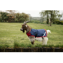 Couverture pour chèvre Horseware 0g Marine / rouge Bleu Couverture pour chèvre Horseware 0g Marine / rouge Bleu