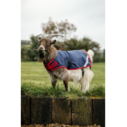 Couverture pour chèvre Horseware 0g Marine / rouge Bleu Couverture pour chèvre Horseware 0g Marine / rouge Bleu