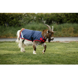 Couverture pour chèvre Horseware 0g Marine / rouge Bleu Couverture pour chèvre Horseware 0g Marine / rouge Bleu