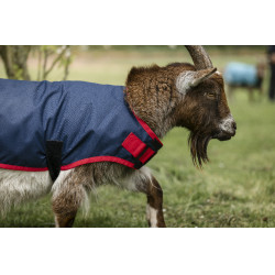 Couverture pour chèvre Horseware 0g Marine / rouge Bleu Couverture pour chèvre Horseware 0g Marine / rouge Bleu