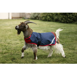 Couverture pour chèvre Horseware 0g Marine / rouge Bleu Couverture pour chèvre Horseware 0g Marine / rouge Bleu
