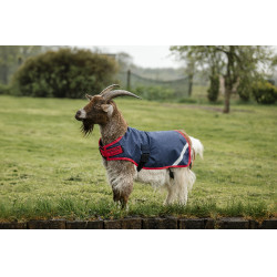 Couverture pour chèvre Horseware 0g Marine / rouge Bleu Couverture pour chèvre Horseware 0g Marine / rouge Bleu