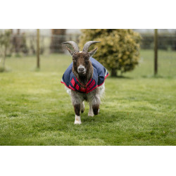 Couverture pour chèvre Horseware 0g Marine / rouge Bleu Couverture pour chèvre Horseware 0g Marine / rouge Bleu