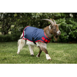 Couverture pour chèvre Horseware 0g Marine / rouge Bleu Couverture pour chèvre Horseware 0g Marine / rouge Bleu
