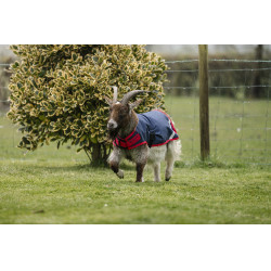 Couverture pour chèvre Horseware 0g Marine / rouge Bleu Couverture pour chèvre Horseware 0g Marine / rouge Bleu