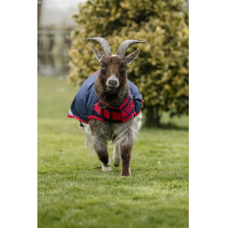 Couverture pour chèvre Horseware 0g Marine / rouge Bleu Couverture pour chèvre Horseware 0g Marine / rouge Bleu