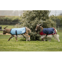 Couverture pour chèvre Horseware 0g Couverture pour chèvre Horseware 0g
