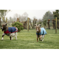 Couverture pour chèvre Horseware 0g Marine / rouge Bleu