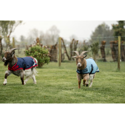 Couverture pour chèvre Horseware 0g Couverture pour chèvre Horseware 0g