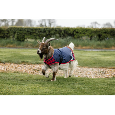 Couverture pour chèvre Horseware 200g Couverture pour chèvre Horseware 200g