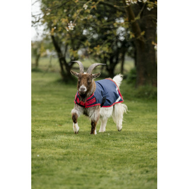 Couverture pour chèvre Horseware 200g Couverture pour chèvre Horseware 200g