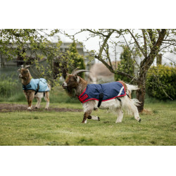 Couverture pour chèvre Horseware 200g