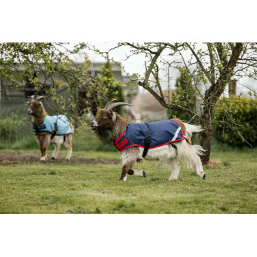 Couverture pour chèvre Horseware 200g Couverture pour chèvre Horseware 200g