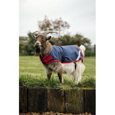 Couverture pour chèvre Horseware 200g Couverture pour chèvre Horseware 200g
