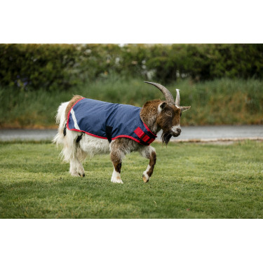 Couverture pour chèvre Horseware 200g Couverture pour chèvre Horseware 200g