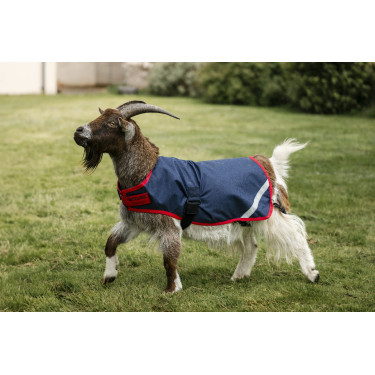 Couverture pour chèvre Horseware 200g Couverture pour chèvre Horseware 200g