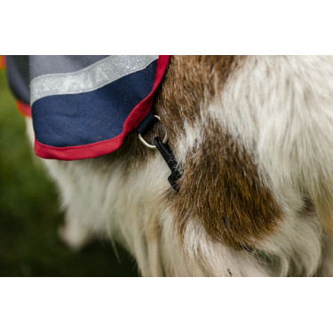 Couverture pour chèvre Horseware 200g Couverture pour chèvre Horseware 200g