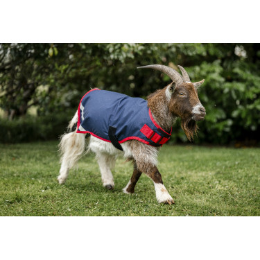 Couverture pour chèvre Horseware 200g Couverture pour chèvre Horseware 200g