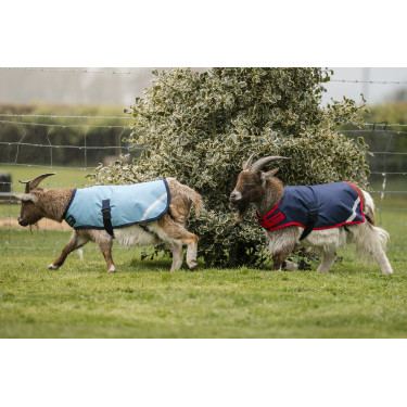 Couverture pour chèvre Horseware 200g Couverture pour chèvre Horseware 200g