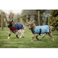 Couverture pour chèvre Horseware 200g Marine / rouge Bleu