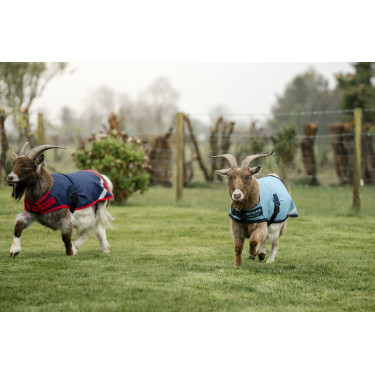 Couverture pour chèvre Horseware 200g Couverture pour chèvre Horseware 200g