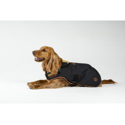 Couverture pour chien Horseware Newmarket Or blanc