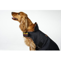 Couverture pour chien Horseware Newmarket Or blanc