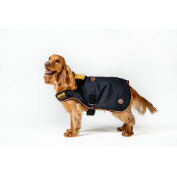 Couverture pour chien Horseware Newmarket Or blanc