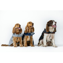 Couverture pour chien Horseware Newmarket