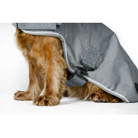 Couverture pour chien Horseware Newmarket Or blanc