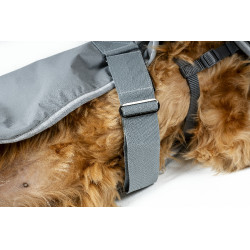 Couverture pour chien Horseware Newmarket Charbon de bois witney Gris Couverture pour chien Horseware Newmarket Charbon de bois witney Gris