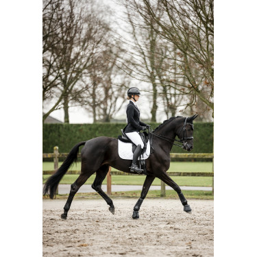 Gants Horseware AA Platinium Gants Horseware AA Platinium