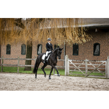 Gants Horseware AA Platinium Gants Horseware AA Platinium