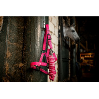 Licol et longe Horseware Newmarket Rose witney Licol et longe Horseware Newmarket Rose witney
