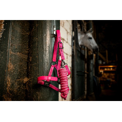 Licol et longe Horseware Newmarket Rose witney Licol et longe Horseware Newmarket Rose witney