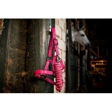 Licol et longe Horseware Newmarket Rose witney Licol et longe Horseware Newmarket Rose witney