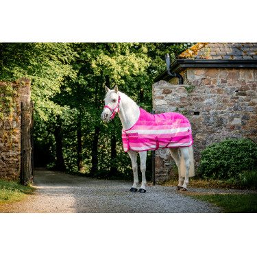 Licol et longe Horseware Newmarket Rose witney Licol et longe Horseware Newmarket Rose witney