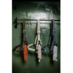 Licol et longe Horseware Newmarket Or blanc Licol et longe Horseware Newmarket Or blanc