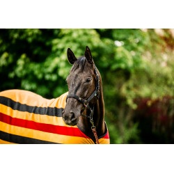 Licol et longe Horseware Newmarket Or blanc Licol et longe Horseware Newmarket Or blanc
