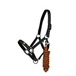 Licol et longe Horseware Newmarket Or blanc Licol et longe Horseware Newmarket Or blanc